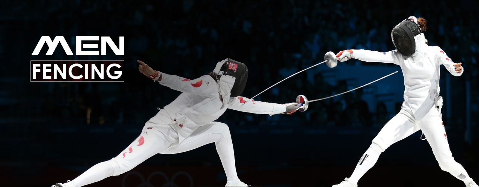 FENCING FENCING